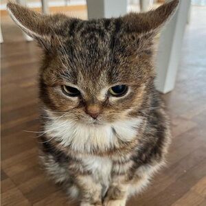 Meet your Posher, Tania